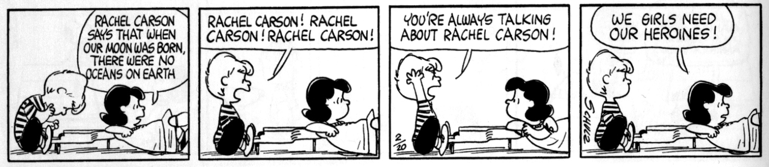 Image of a Peanuts cartoon that portrays Carson as a role model for girls.