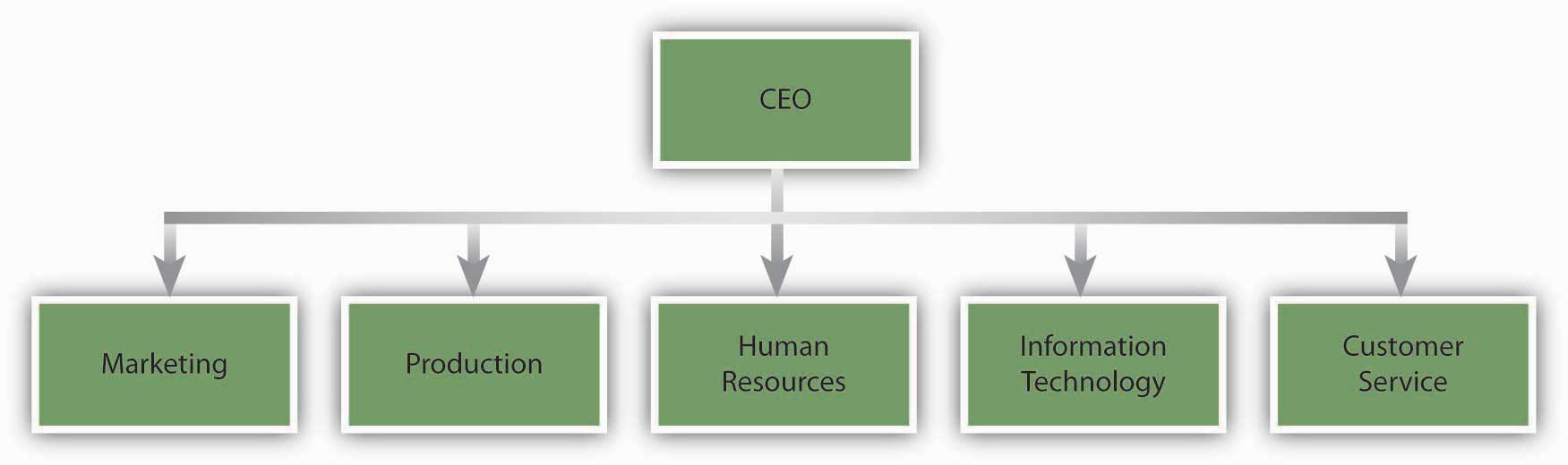 An Example of a Pharmaceutical Company with a Functional Departmentalization Structure