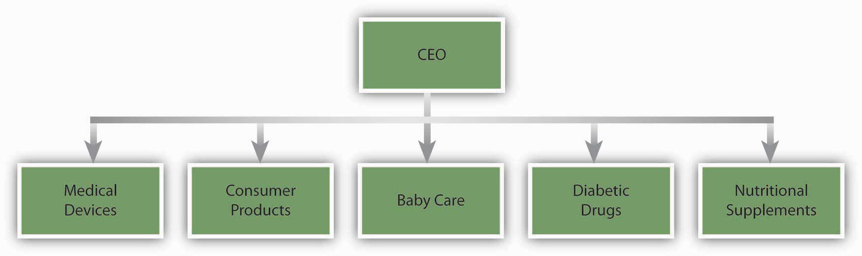 An Example of a Pharmaceutical Company with a Divisional Departmentalization Structure