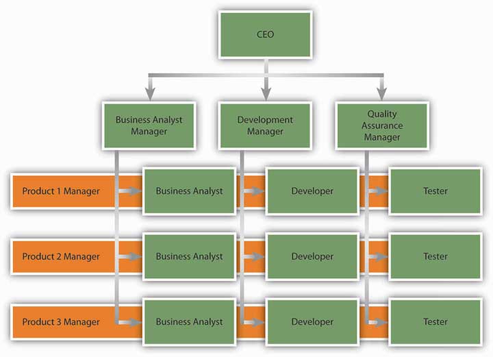 An example of a matrix structure at a software development company