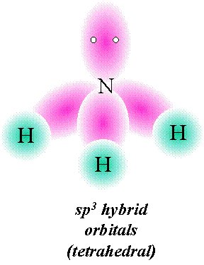 sp3 hybrid orbitals (tetrahedral) for Ammonia