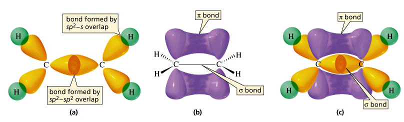 Three views of the ethylene molecule