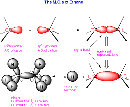 The M.O.s of Ethane