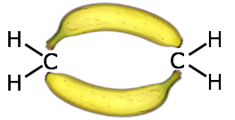 Image of bananas between the bonds.