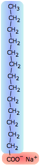 Image of a surfactant molecule