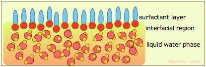 Image of a surfactant layer