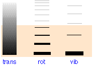 Graph with translational levels.