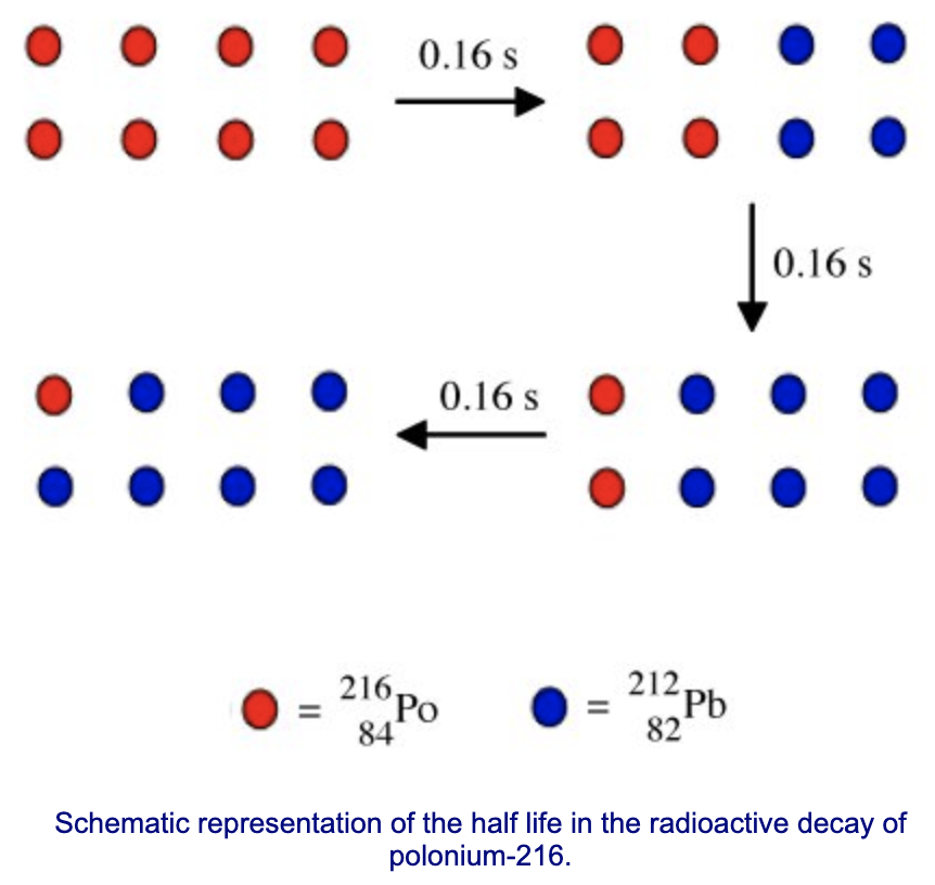 Schematic representation of the half life in the radioactive decay of polonium-216.