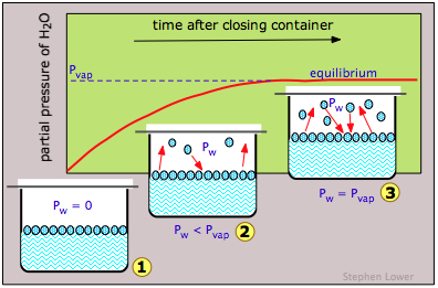 Schematic that shows how vapor pressure achieves an equilibrium.