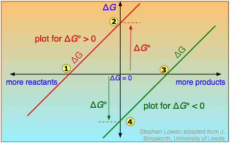 Diagram that plots the change in G on a vertical axis for two hypothetical reactions with opposite signs of delta Go