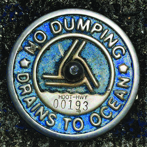 A sign that reads "No Dumping, Drains to Ocean".