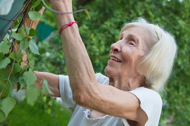 old lady gardening