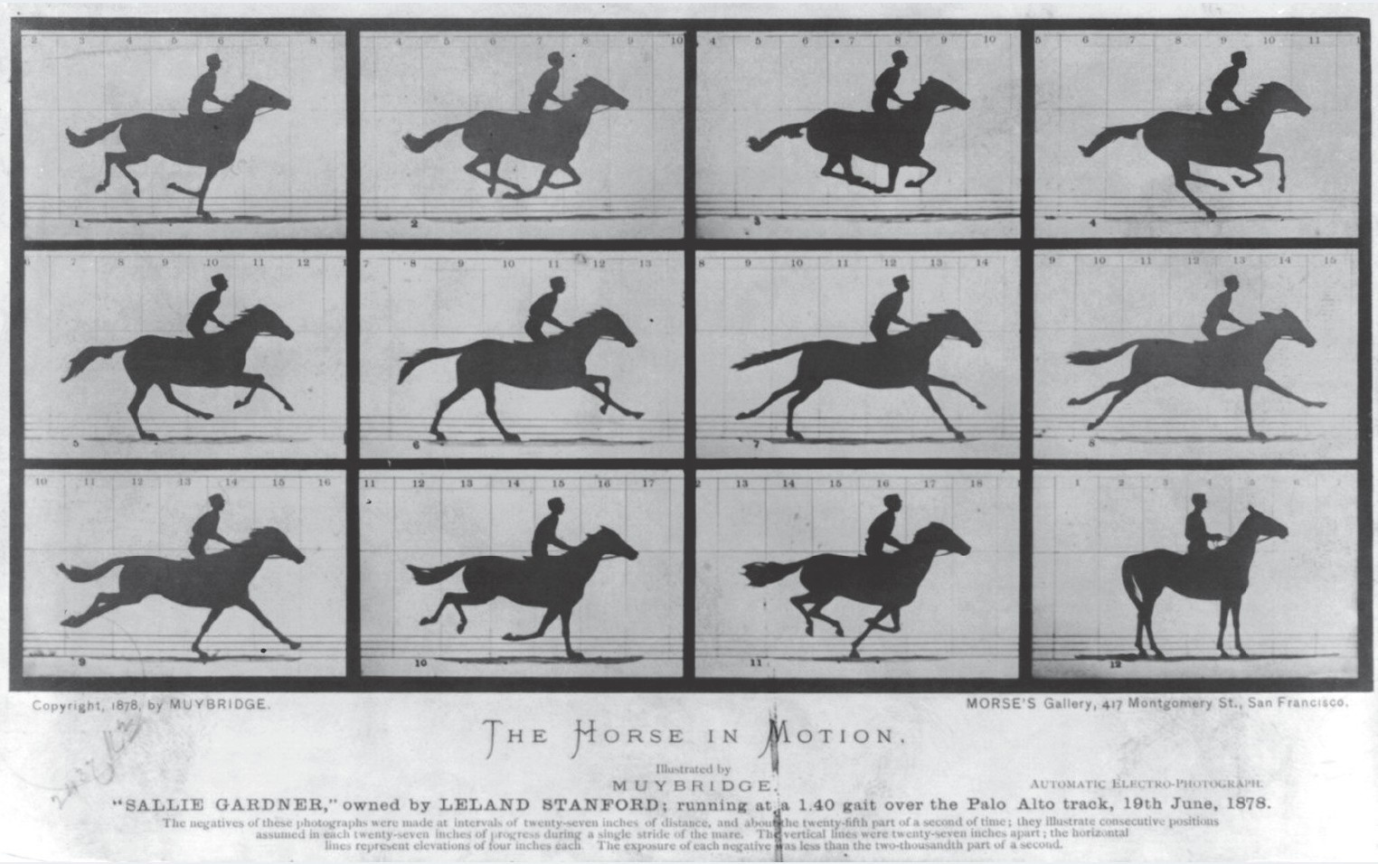 Figure 5.10 I The Horse in Motion