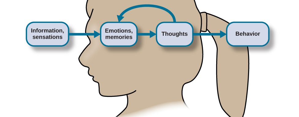 The outline of a human head is shown. There is a box containing "Information, sensations" in front of the head. An arrow from