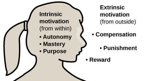 An illustration shows a person's upper torso. Inside the person's head are the words "intrinsic motivation (from within)" and