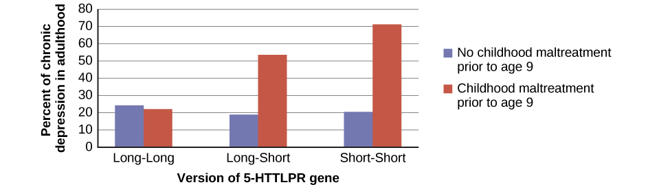 A bar graph has an x-axis labeled "version of 5-HTTLPR gene" and a y-axis labeled "percent of chronic depression in adulthood