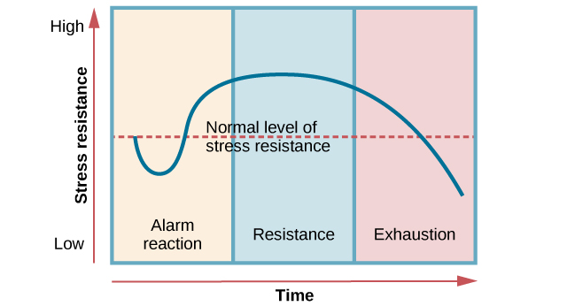 A graph shows the three stages of Selye's general adaption syndrome: alarm reaction, resistance, and exhaustion. The x-axis r