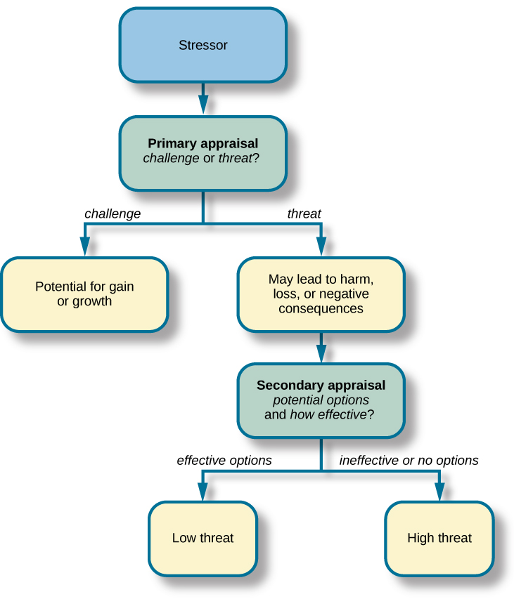 A concept map begins with a box titled "Stressor" at the top with an arrow underneath that leads to a box labeled "Primary ap