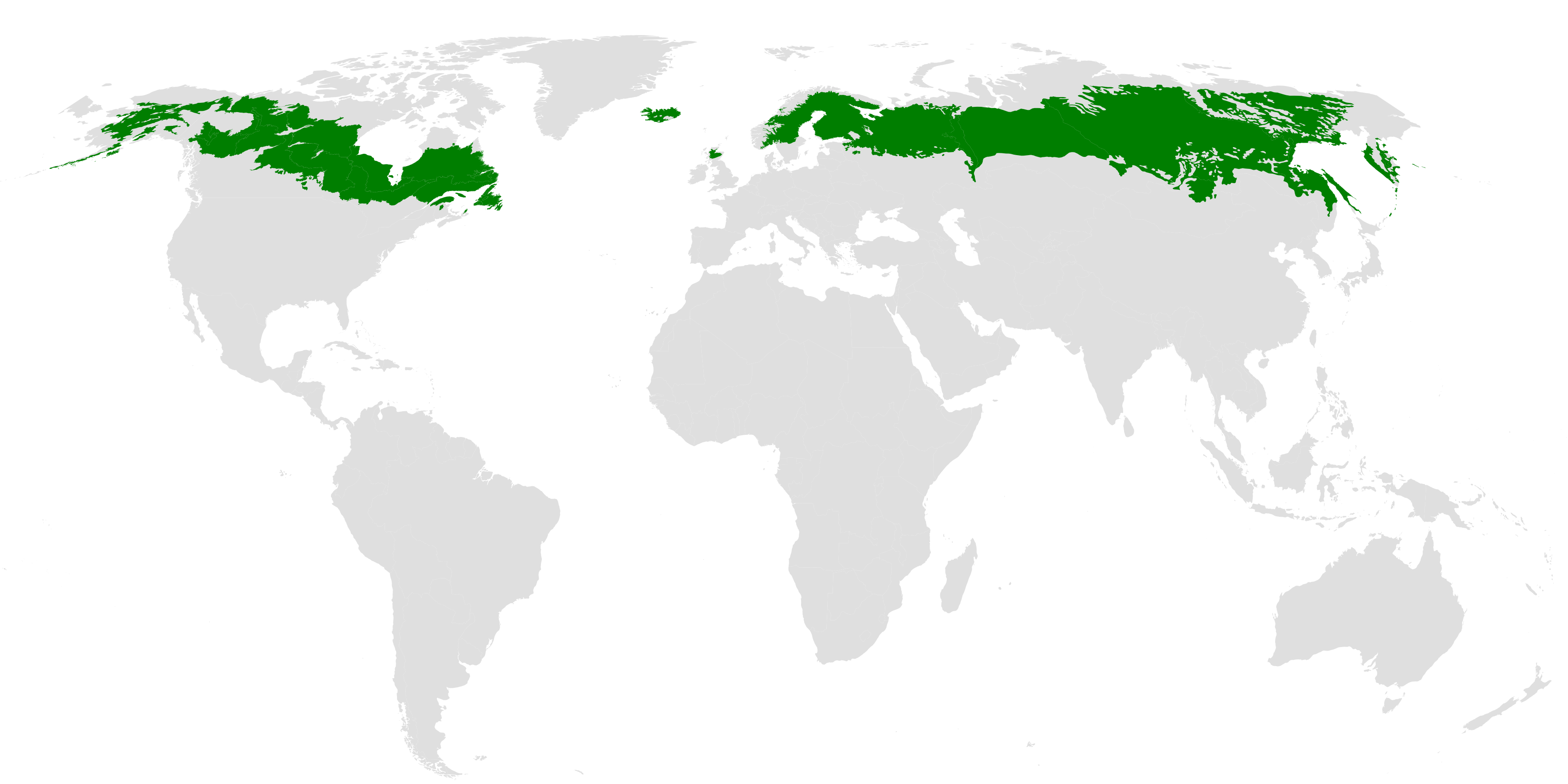 Map of global boreal forest areas, all in extreme northern latitudes