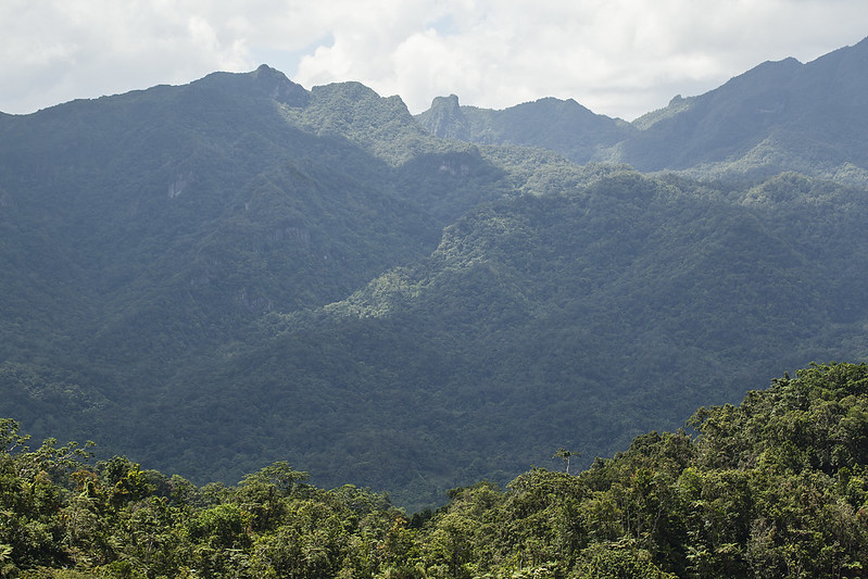 Figure 10.4 Korabasabasaga Range in Fiji, near the village of Namosi, Viti Levu (John Game, 2016. CC BY 2.0.)"