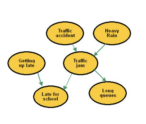 Causal network diagrams 