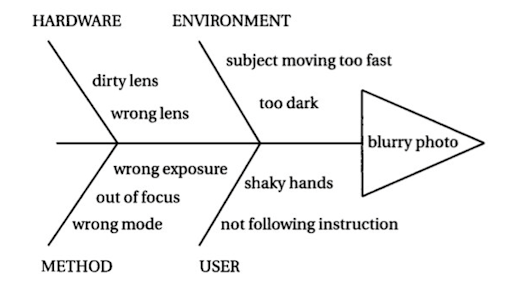 Fishbone diagrams - 2