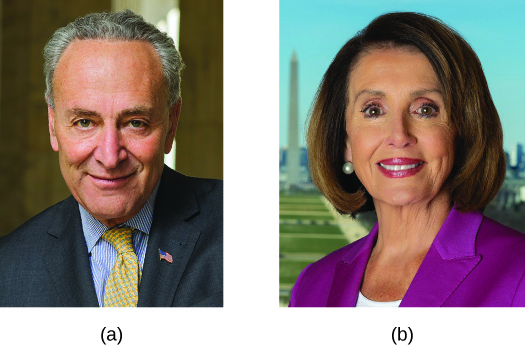  Figure 11.16 Democrat Chuck Schumer of New York (a), the majority leader in the Senate, and Democrat Nancy Pelosi of Califor