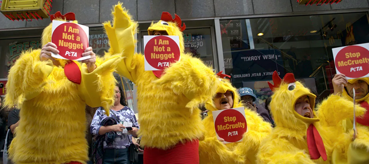 Protesters are shown here wearing yellow chicken costumers and holding PETA signs that say "I Am Not a Nugget" and "Stop McCr