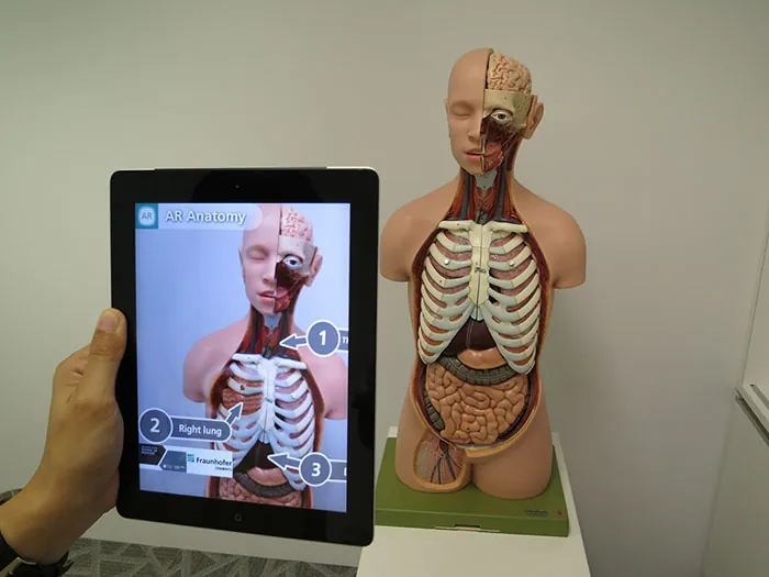 A person holds a tablet in front of an anatomy model. On the tablet, the model is enhanced with labels and other details thro