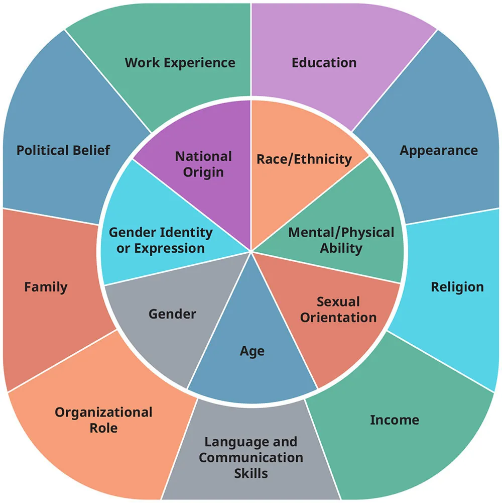 A diagram illustrates the intersectionality wheel divided into two circles one inside the other. In the outer circle in no pa