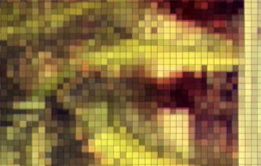 An example of the methods focused on the pixels. Picture demonstrates an amount of data visualized in pixels. Each color has 