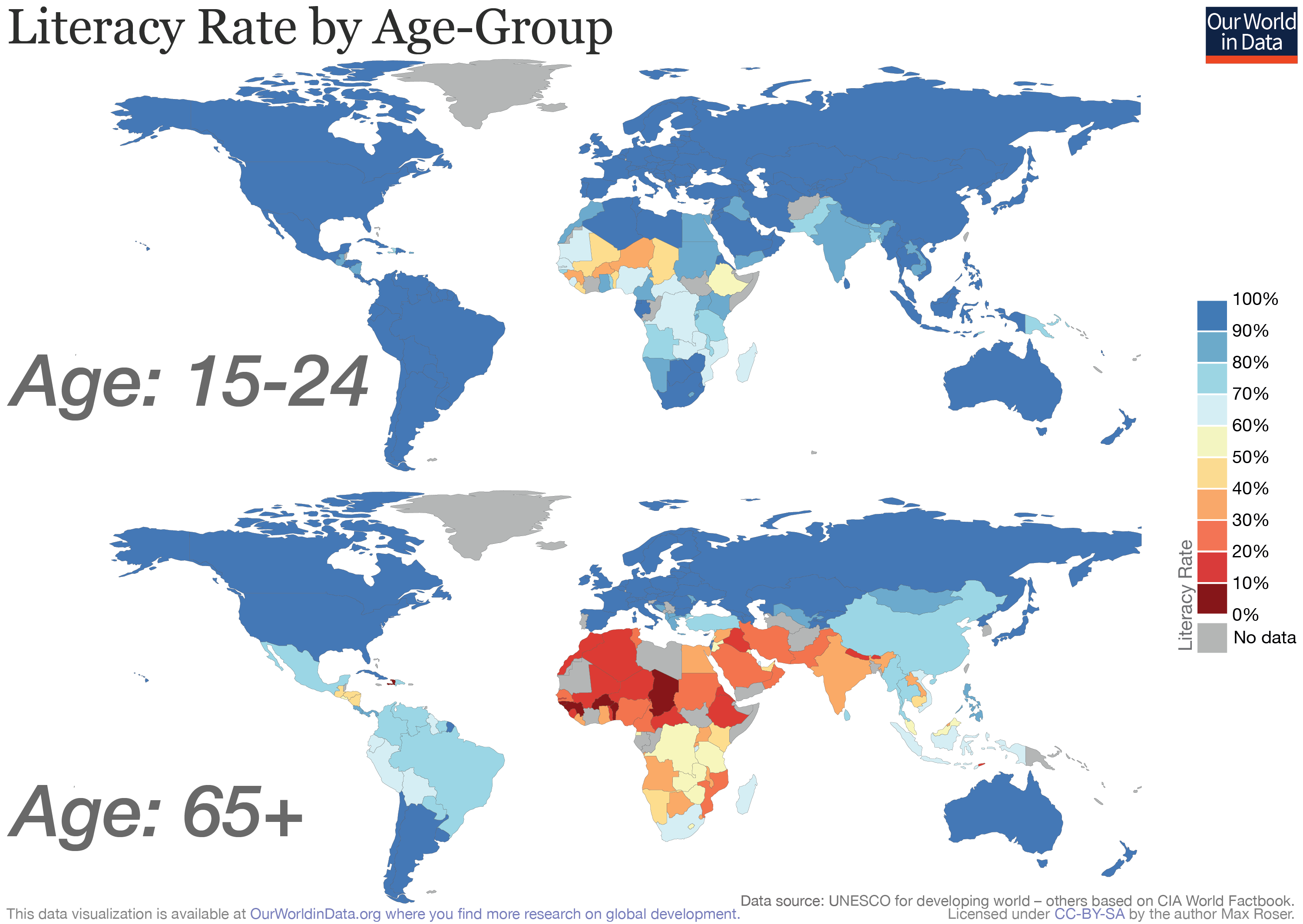 Chart of literacy rates of youth and the elderly