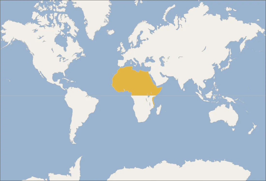 A map of the world is shown. The northern portion of Africa down to the equator is highlighted. The Swahili Coast on the east