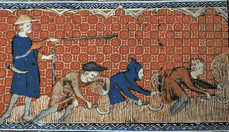 Serfs in feudal England on a calendar page for August from Queen Mary's Psalter, ca. 1310, courtesy of the British Library Ma