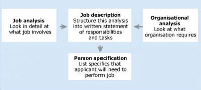 Figure 1: Stages of Job and Person Analysis