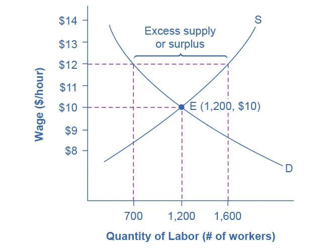 The graph shows how a price floor results from an excess supply of labor.