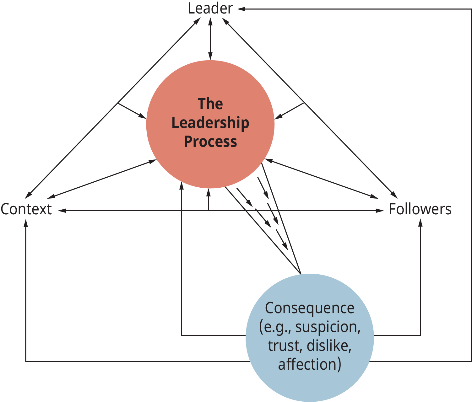 Exhibit 13.3 The Leadership Process 