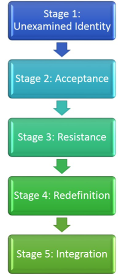 
Minority Identity Development
