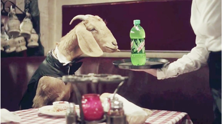 Figure 6.3 Mountain Dew's zany but ill-fated campaign featuring a Mountain Dew-crazed goat.